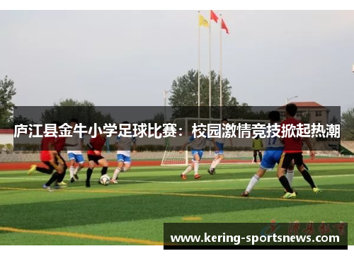 庐江县金牛小学足球比赛：校园激情竞技掀起热潮